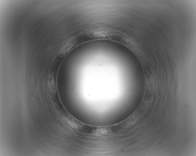X0000065950418200603101401