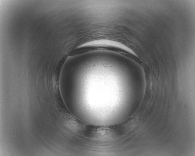 X0000065950420200603101401