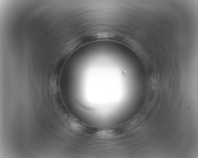 X0000065950422200603101401