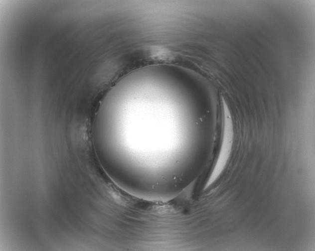 X0000065950424200603101401