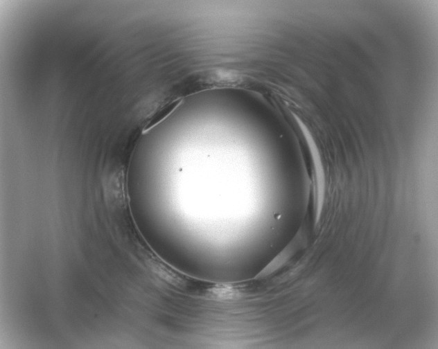 X0000065950425200603101401