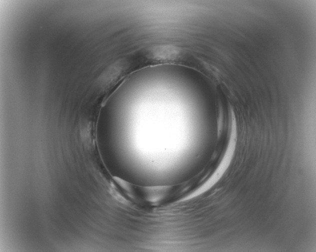 X0000065950428200603101401