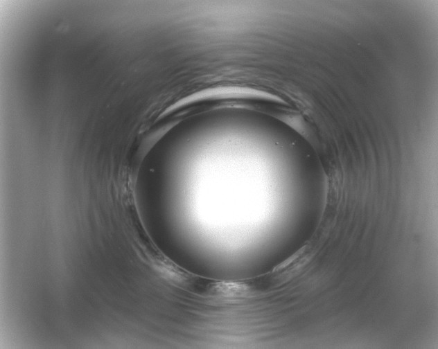 X0000065950429200603101401