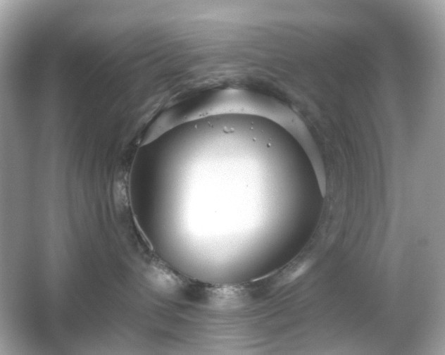 X0000065950432200603101401