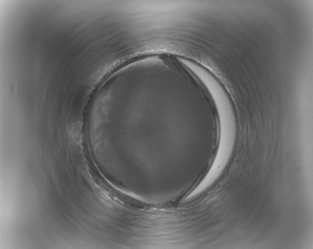 X0000065950434200603101400