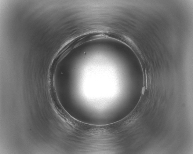 X0000065950435200603101400