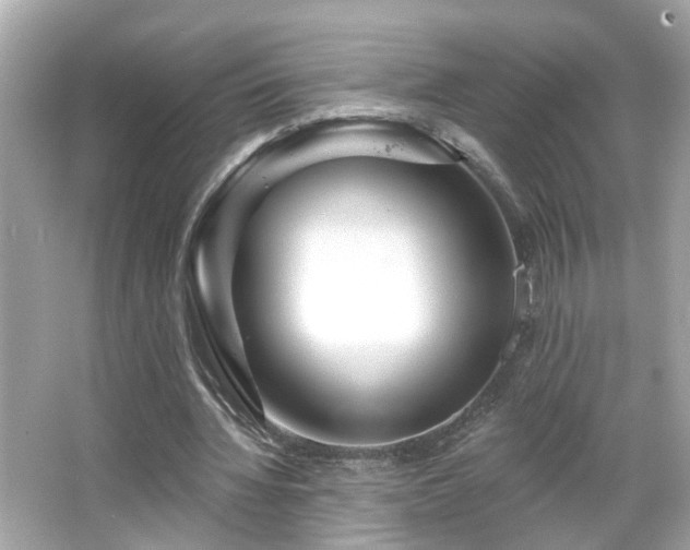 X0000065950436200603101400