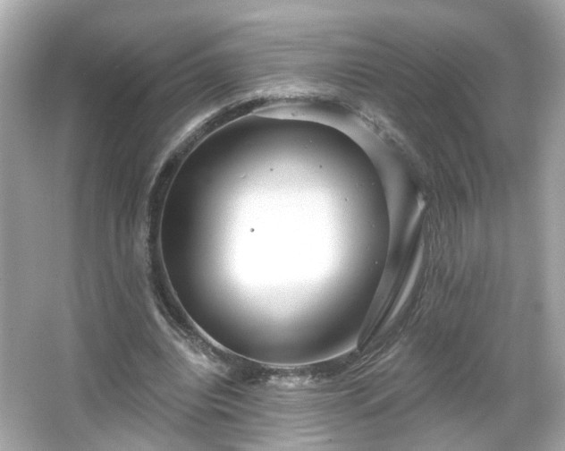 X0000065950440200603101400