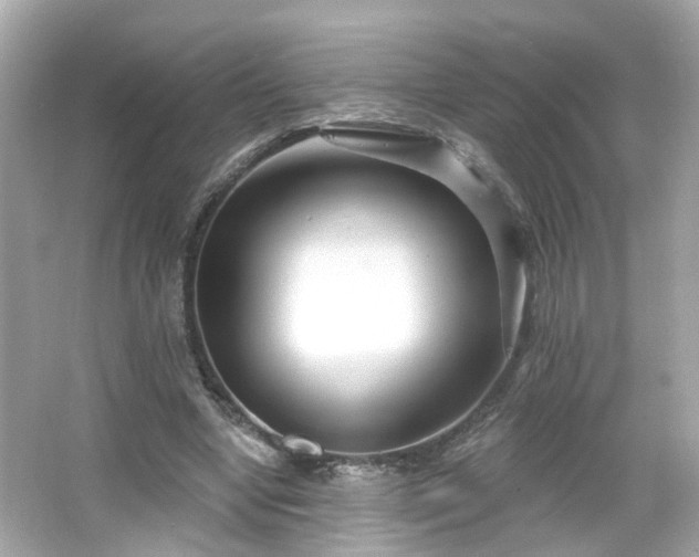 X0000065950442200603101400