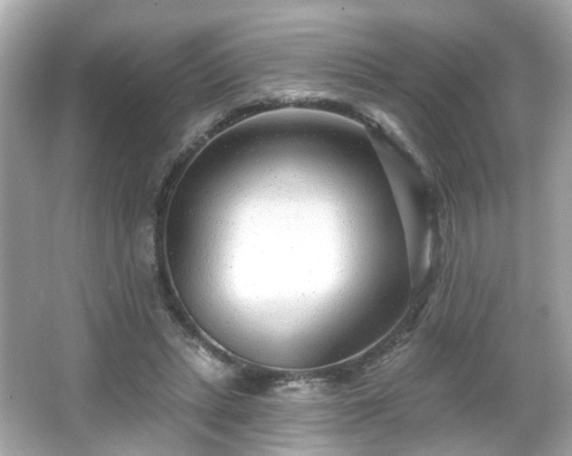 X0000065950447200603101400