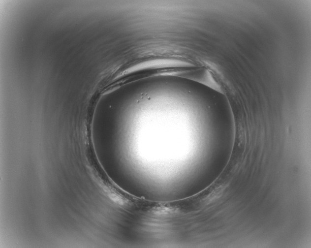 X0000065950453200603101400