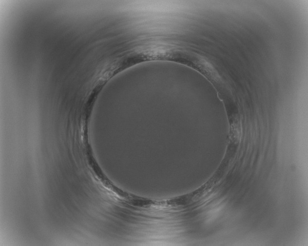 X0000065950458200603101400
