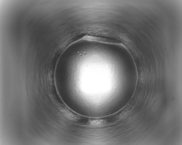 X0000065950461200603101400