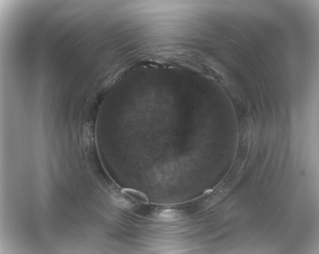 X0000065950467200603101401