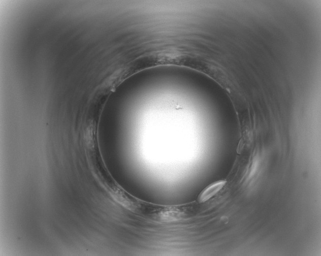 X0000065950468200603101401
