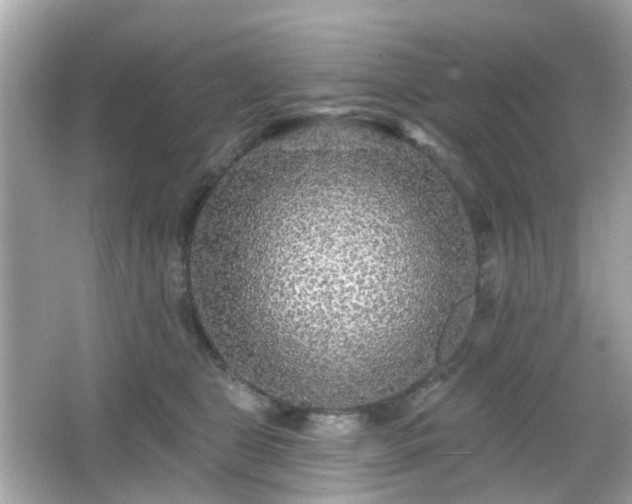 X0000065950469200603101401
