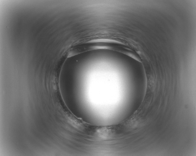 X0000065950470200603101401