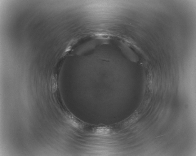 X0000065950471200603101401
