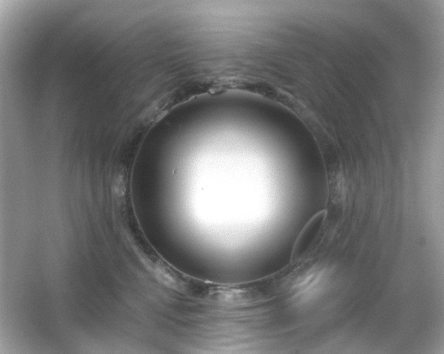X0000065950472200603101401