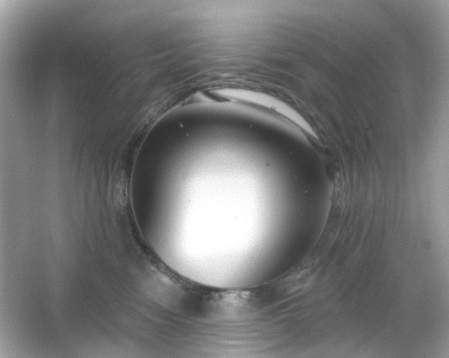 X0000065950474200603101401