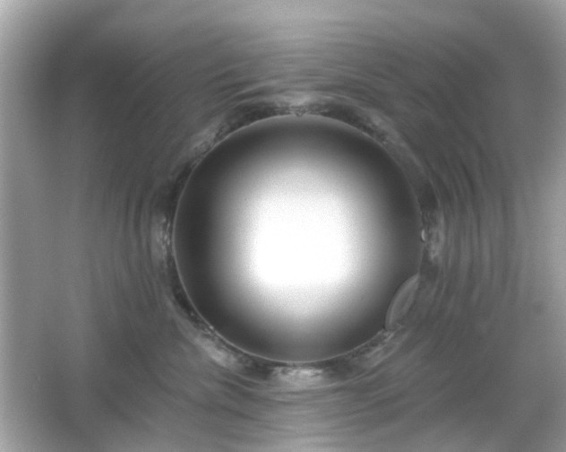 X0000065950476200603101401