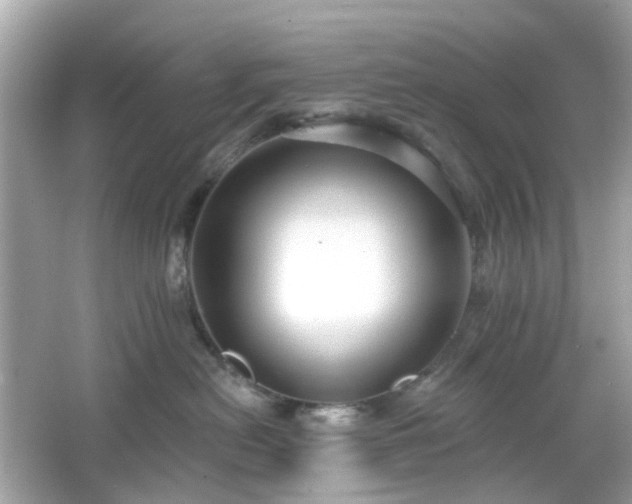 X0000065950478200603101401