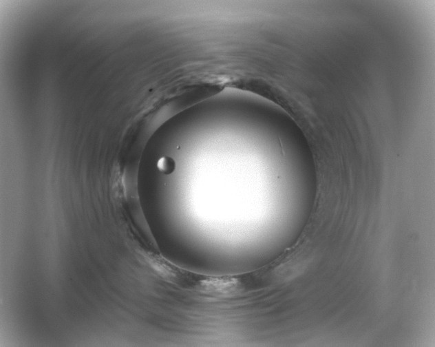 X0000065950480200603101401