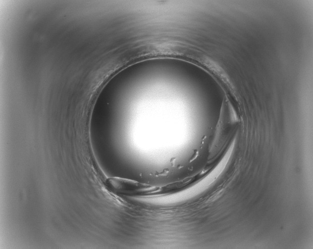 X0000065950481200603101400
