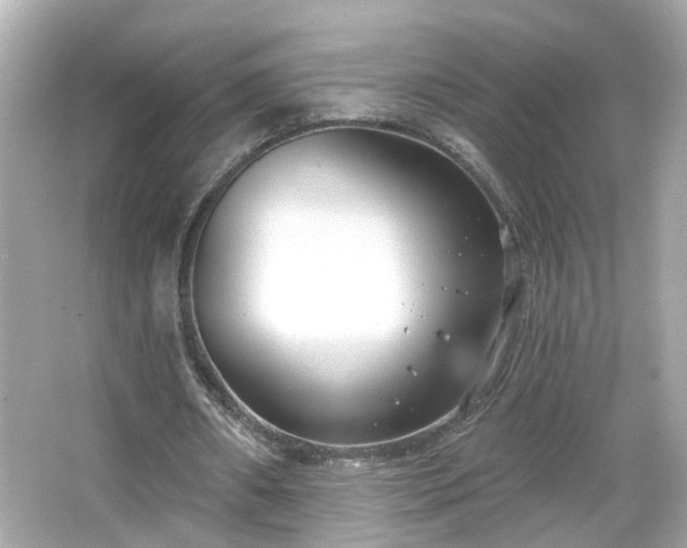 X0000065950482200603101400