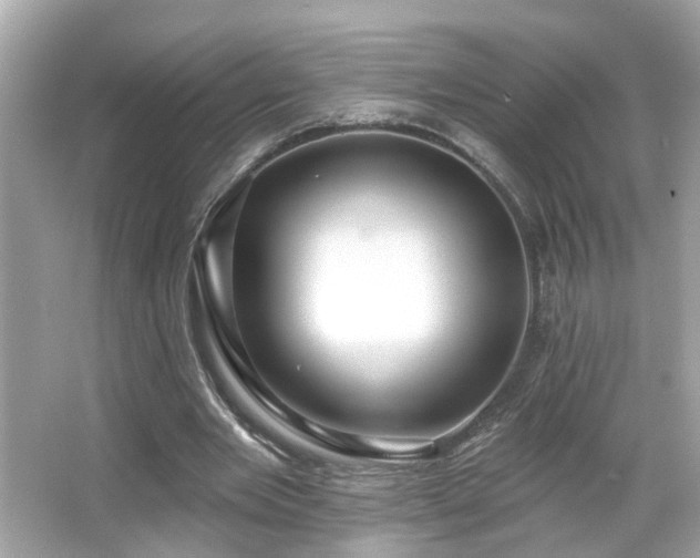 X0000065950485200603101400