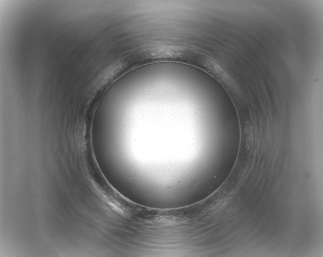 X0000065950490200603101400