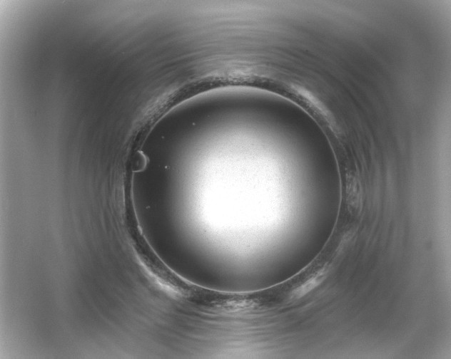 X0000065950493200603101400