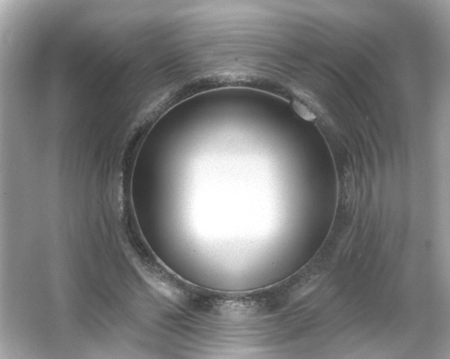 X0000065950494200603101400