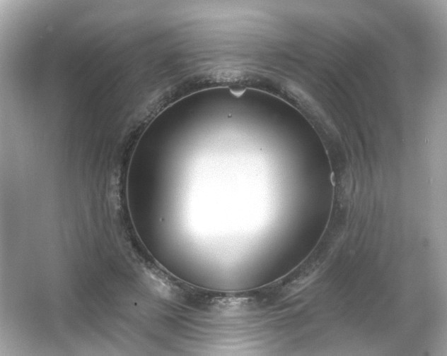 X0000065950497200603101400