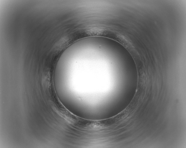 X0000065950498200603101400