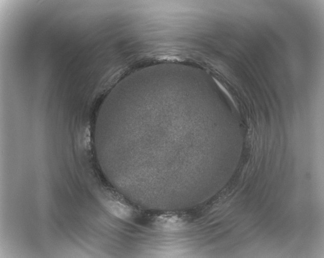 X0000065950502200603101400