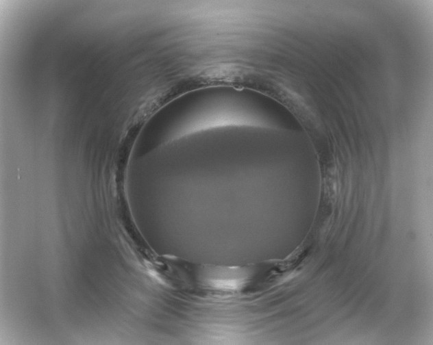 X0000065950504200603101400