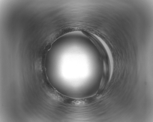 X0000065950512200603101359