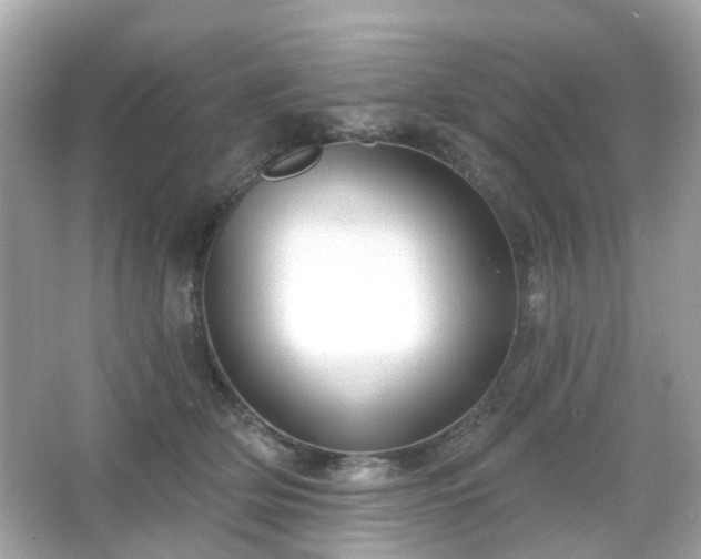 X0000065950514200603101359