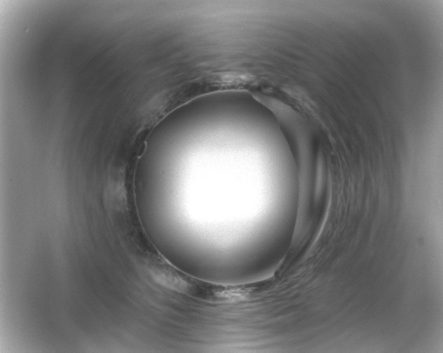 X0000065950516200603101359