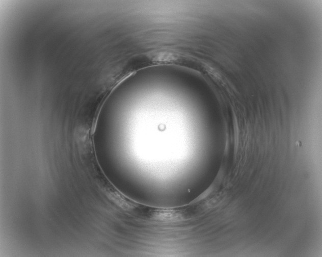 X0000065950521200603101359