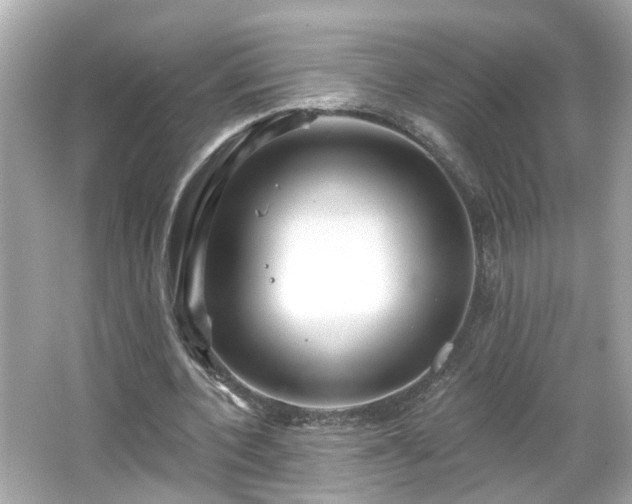 X0000065950532200603101358
