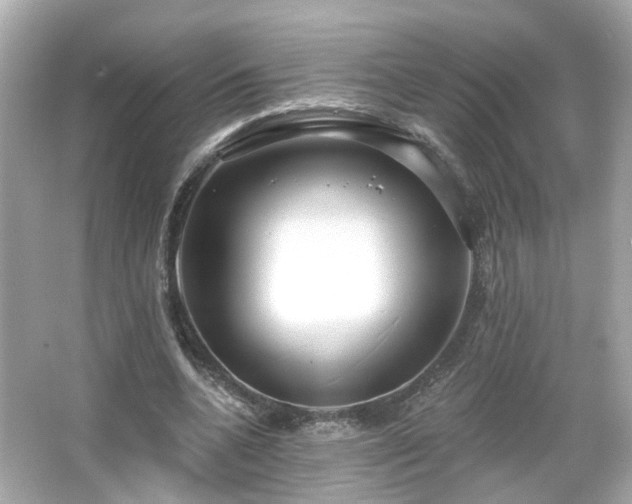 X0000065950536200603101358