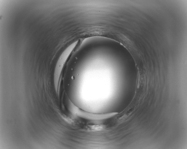 X0000065950552200603101359