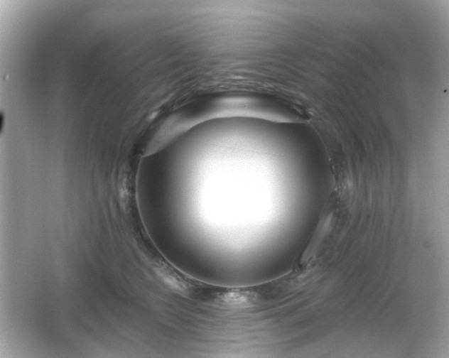 X0000065950566200603101359