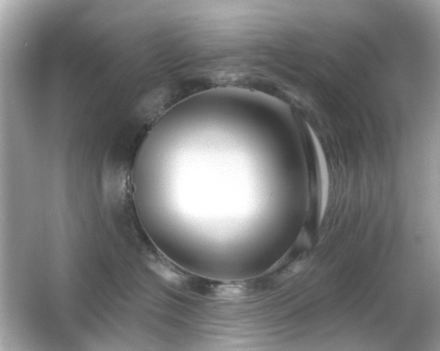 X0000065950574200603101359
