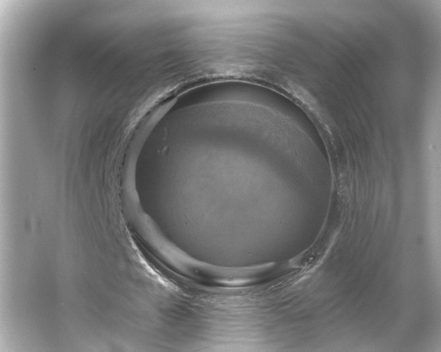 X0000065950577200603101358