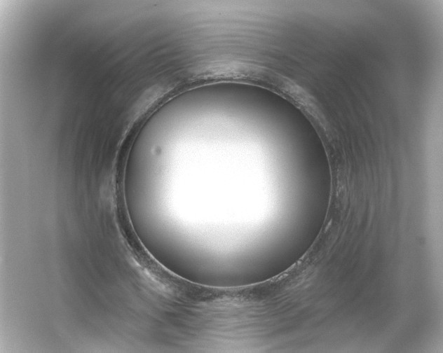 X0000065950578200603101358