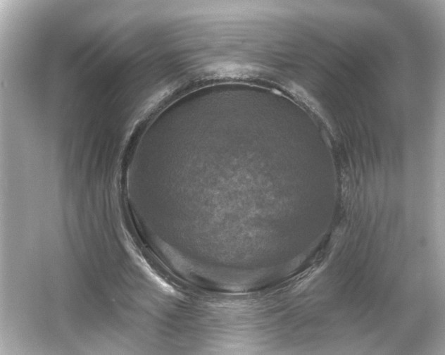 X0000065950581200603101358