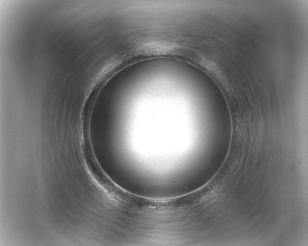 X0000065950582200603101358